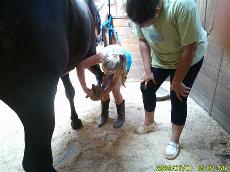 brecht stables & dustin's place|Brecht Stables and Dustin's Place .